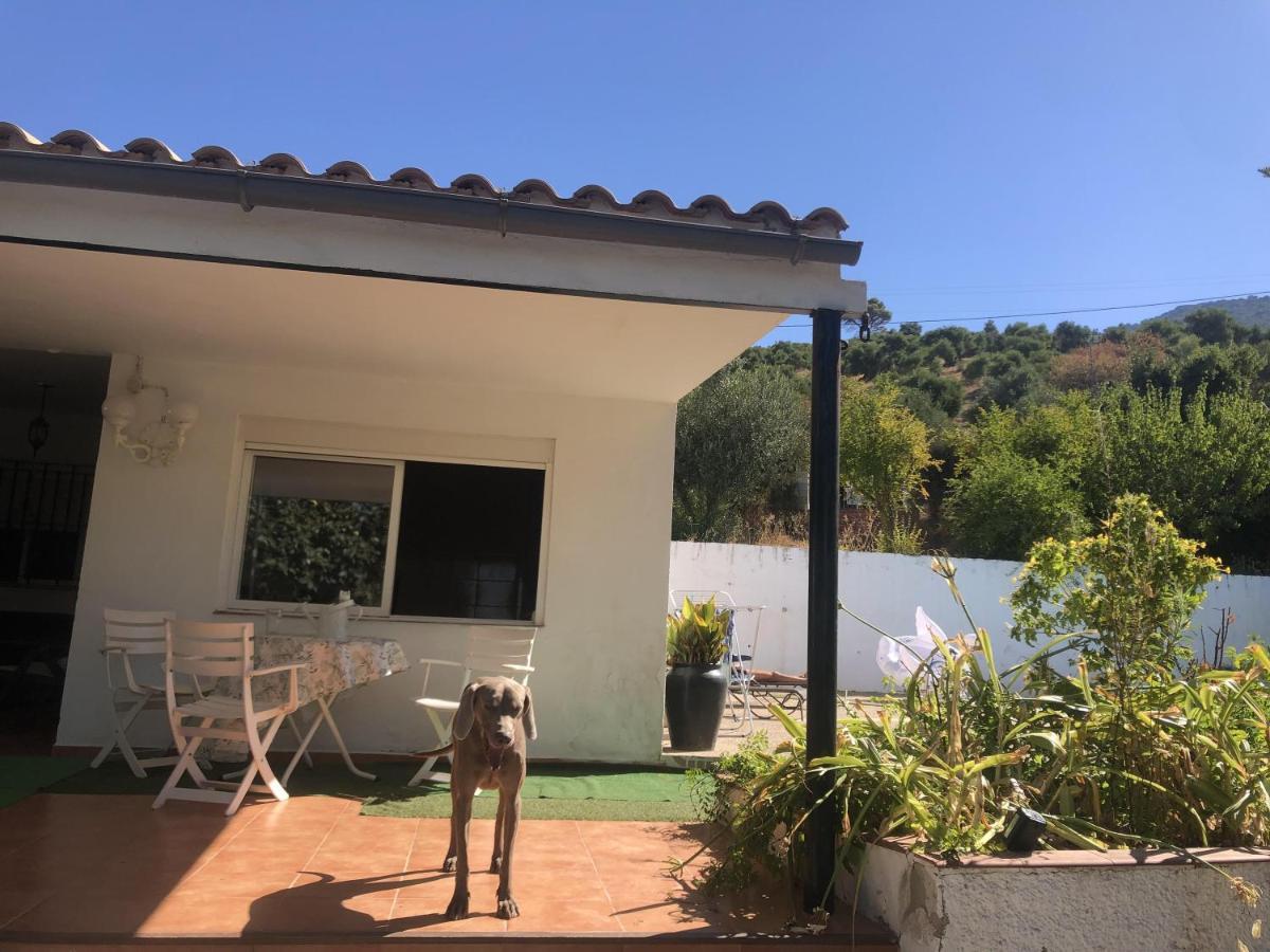 Villa Rosario Ел Боске Екстериор снимка